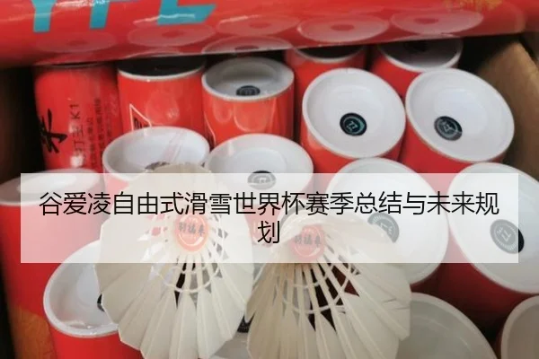 谷爱凌自由式滑雪世界杯赛季总结与未来规划