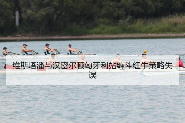 wei-si-ta-pan-yu-han-mi-er-dun-xiong-ya-li-zhan-chan-dou-hong-niu-ce-lve-shi-wu-2-649.jpg