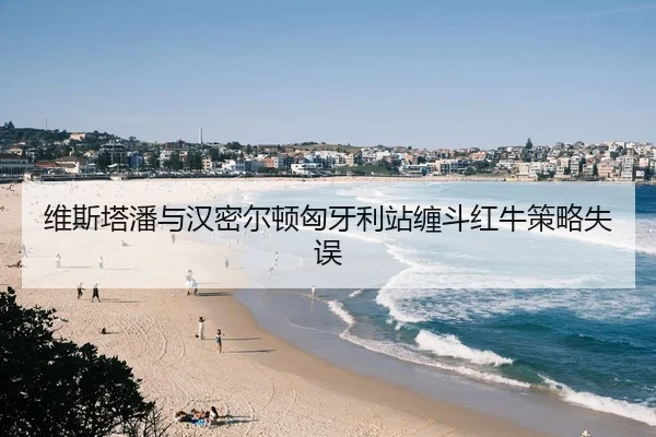 维斯塔潘与汉密尔顿匈牙利站缠斗红牛策略失误