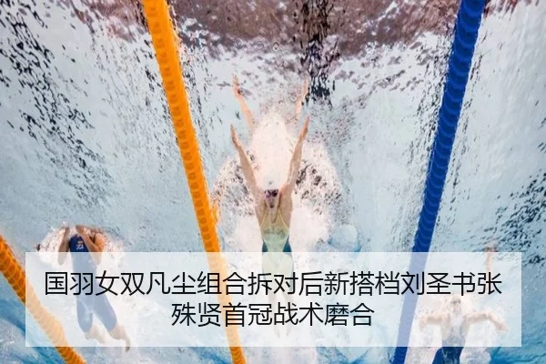 guo-yu-nv-shuang-fan-chen-zu-he-chai-dui-hou-xin-da-dang-liu-sheng-shu-zhang-shu-xian-shou-guan-zhan-shu-mo-he-3-131.jpg